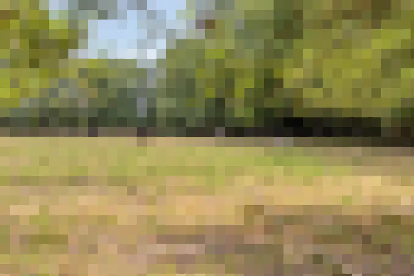 Markiezaat 6 Chaam thumbnail 34