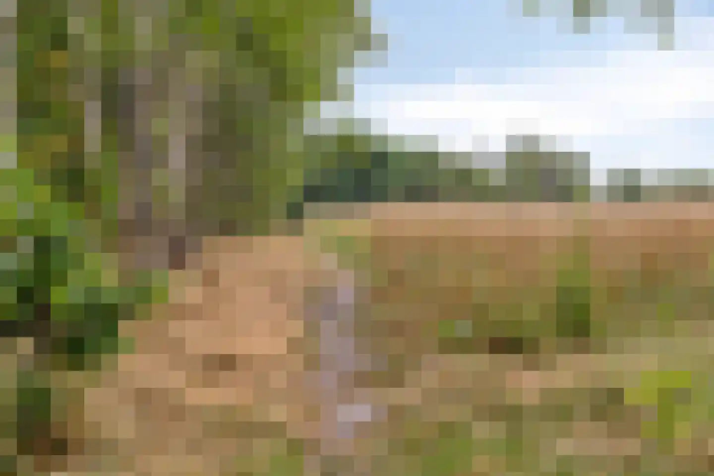 Markiezaat 6 Chaam thumbnail 35
