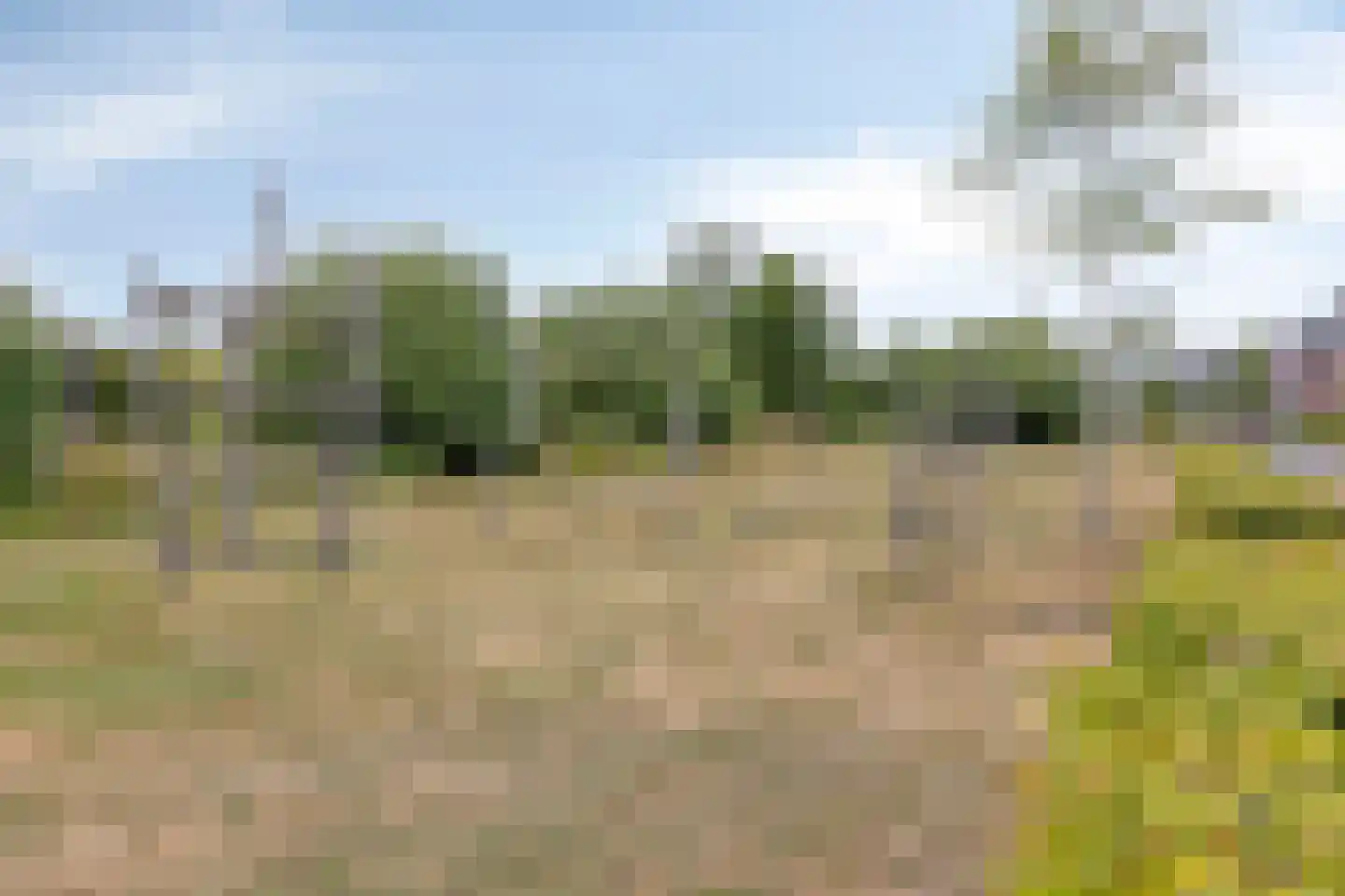Markiezaat 6 Chaam thumbnail 36