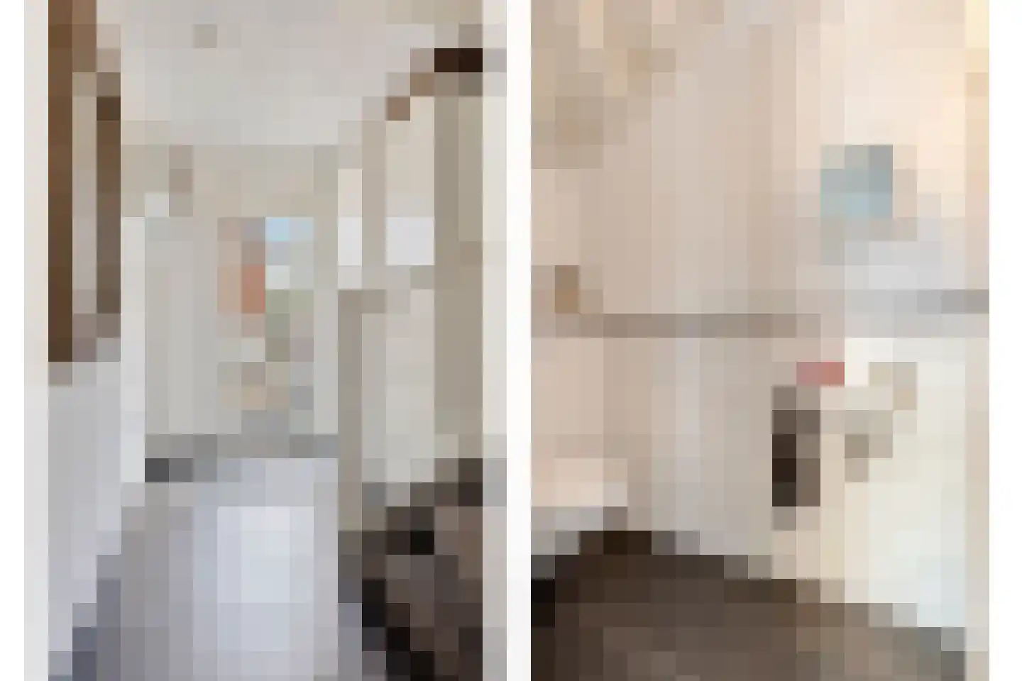 Markiezaat 6 Chaam thumbnail 4