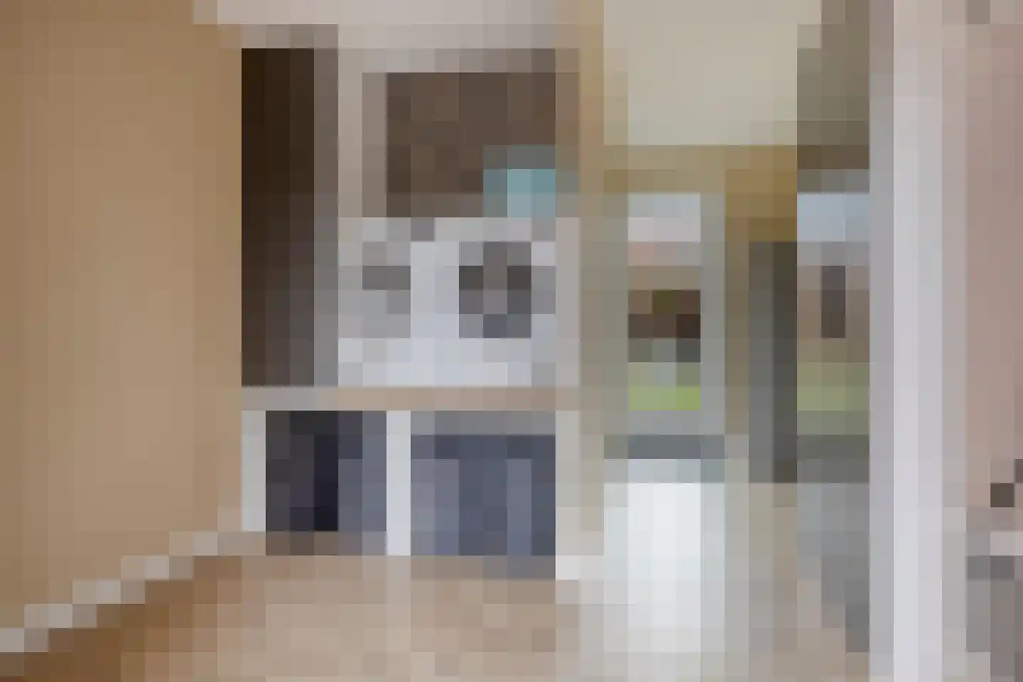 Markiezaathof 30 Etten-Leur thumbnail 29