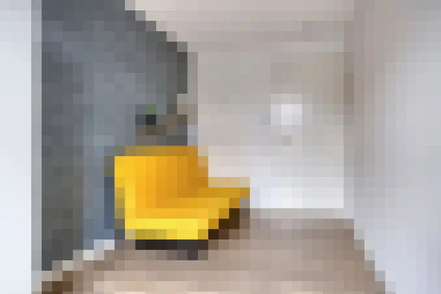 Markiezaathof 30 Etten-Leur thumbnail 40