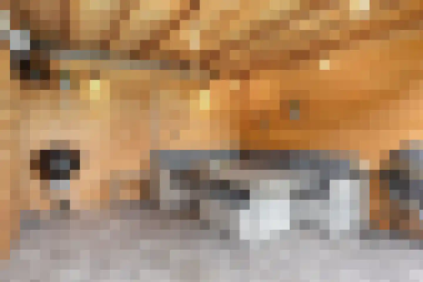 Markiezaathof 30 Etten-Leur thumbnail 51