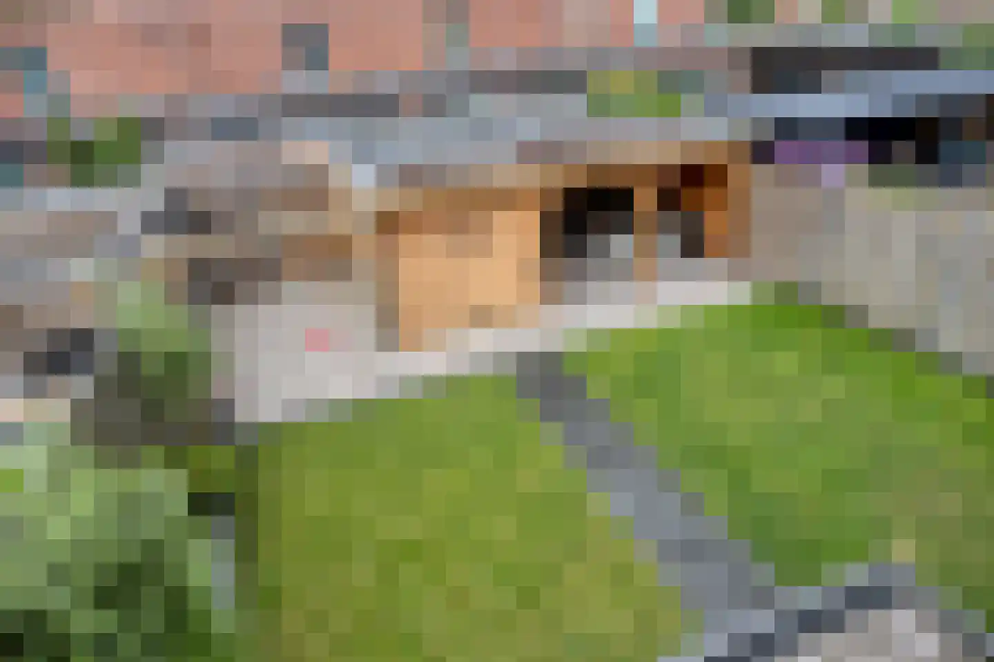 Markiezaathof 30 Etten-Leur thumbnail 55
