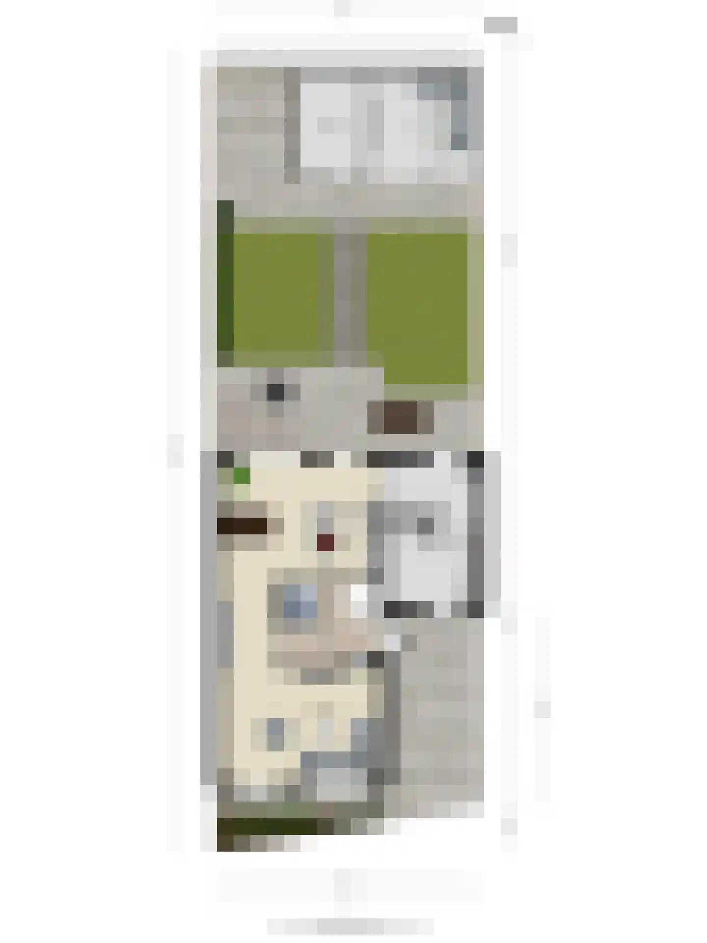 Markiezaathof 30 Etten-Leur thumbnail 69