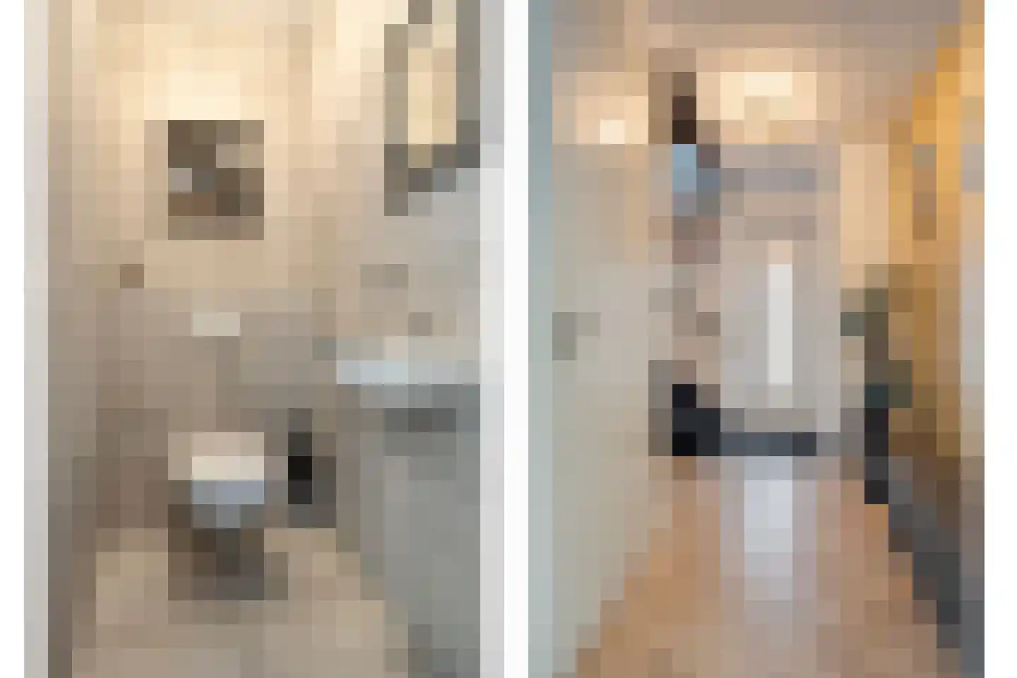 Markiezaathof 30 Etten-Leur thumbnail 9