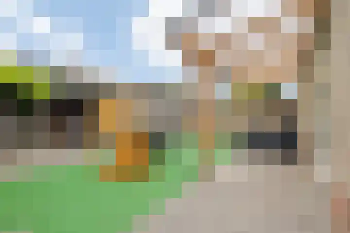 Markiezaatstraat 16 Baarle-Nassau thumbnail 31