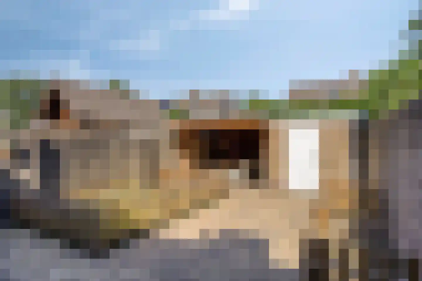 Markiezaatstraat 8 Baarle-Nassau thumbnail 35
