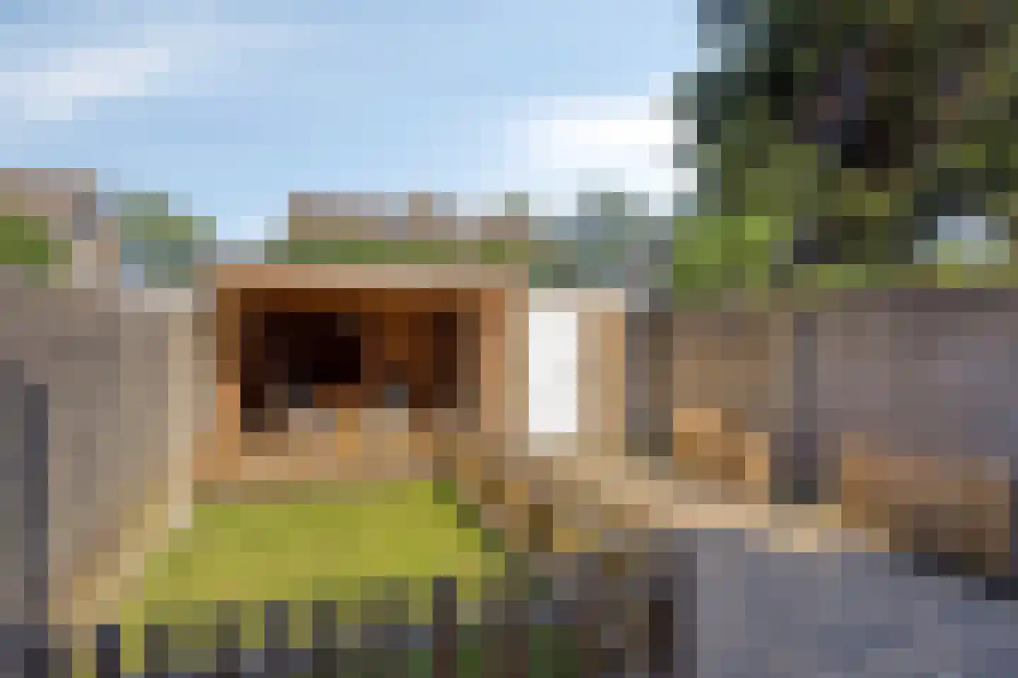 Markiezaatstraat 8 Baarle-Nassau thumbnail 36