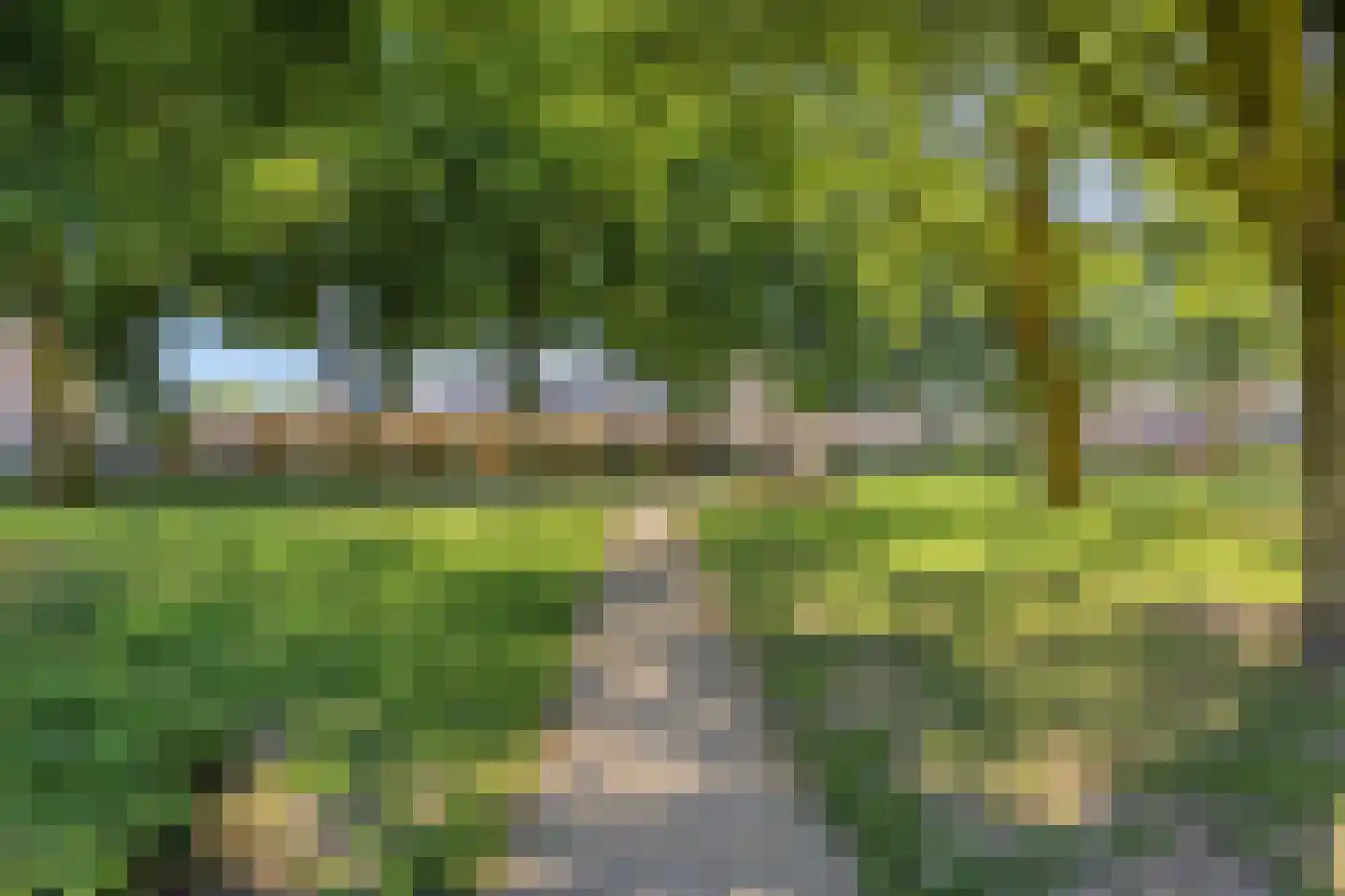Markiezaatstraat 8 Baarle-Nassau thumbnail 43