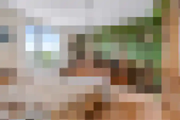 Markiezenhof 11 Lelystad thumbnail 13