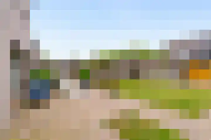 Markiezenhof 11 Lelystad thumbnail 18