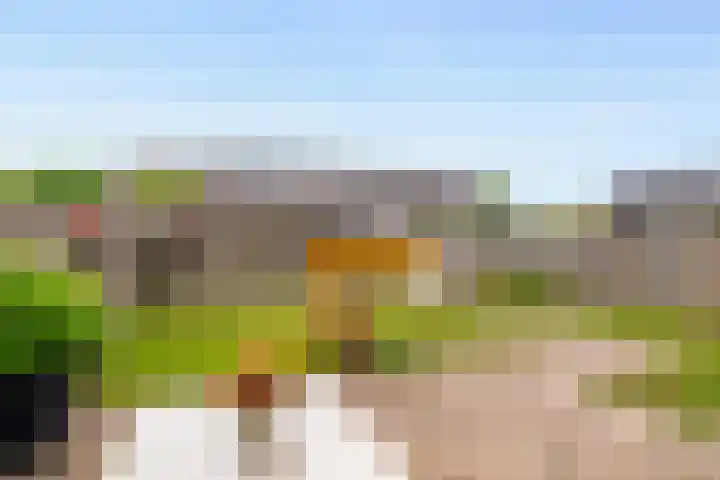 Markiezenhof 11 Lelystad thumbnail 19