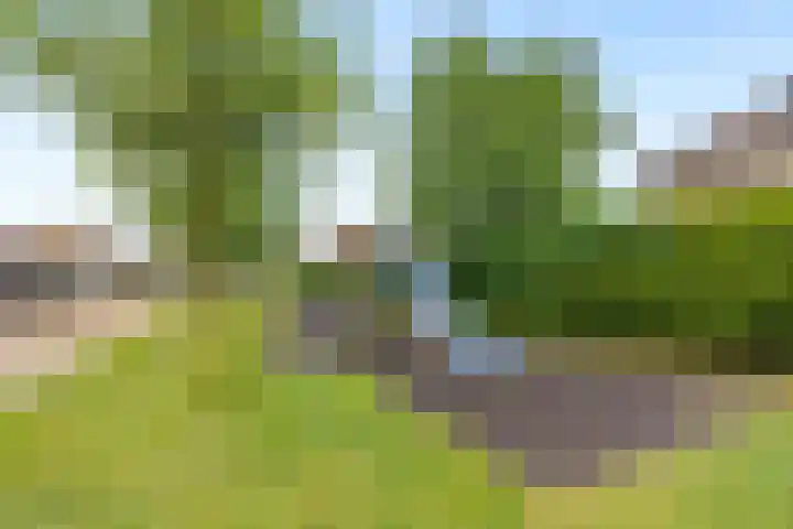 Markiezenhof 11 Lelystad thumbnail 23