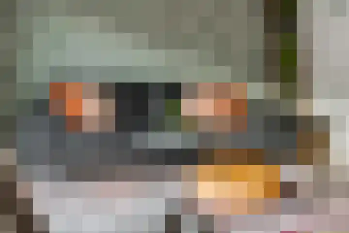 Markiezenhof 11 Veenendaal thumbnail 12