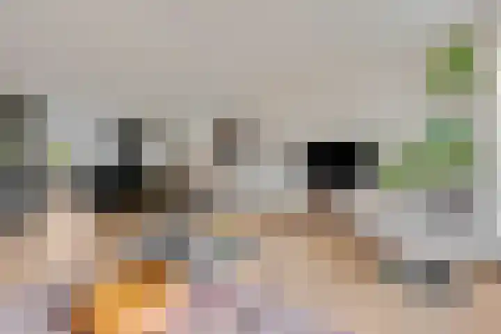 Markiezenhof 11 Veenendaal thumbnail 15
