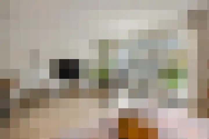 Markiezenhof 11 Veenendaal thumbnail 16
