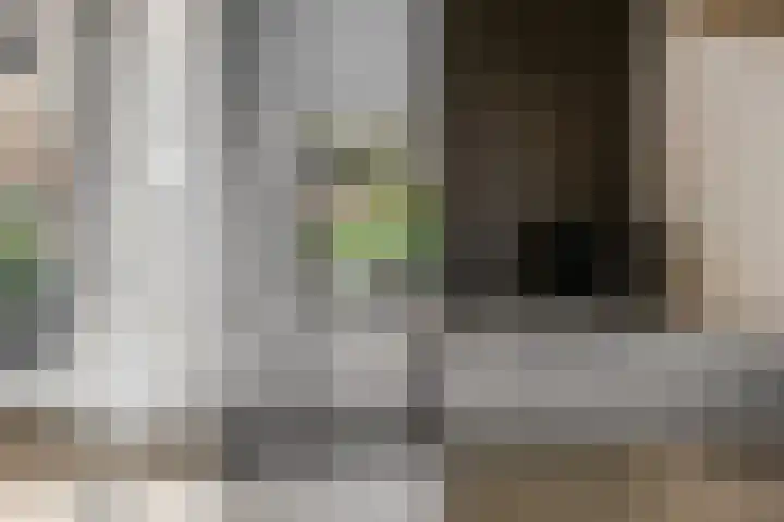 Markiezenhof 11 Veenendaal thumbnail 25
