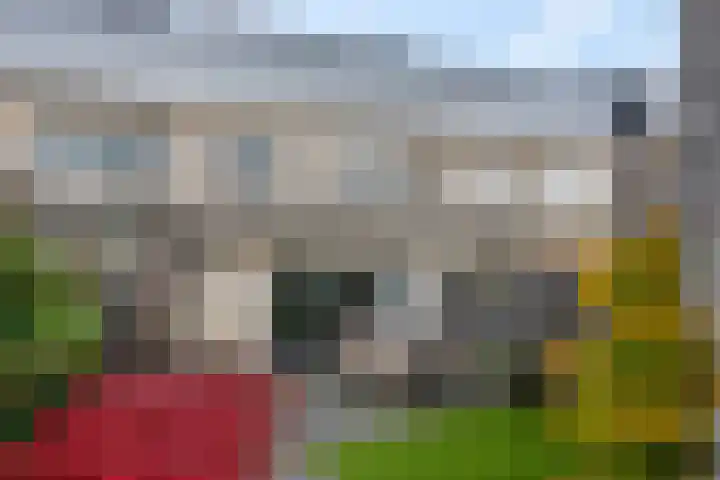 Markiezenhof 11 Veenendaal thumbnail 46