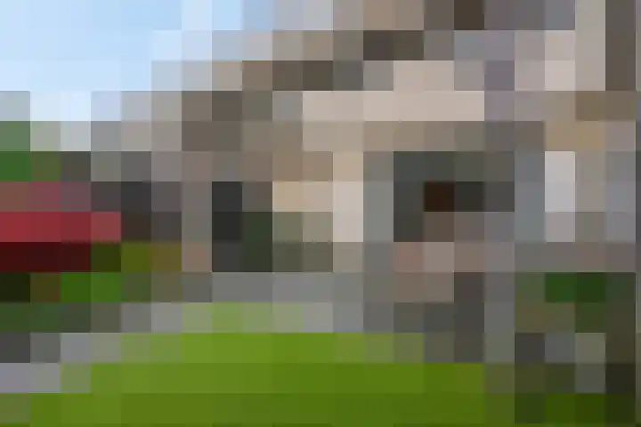 Markiezenhof 11 Veenendaal thumbnail 48