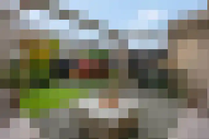 Markiezenhof 11 Veenendaal thumbnail 5