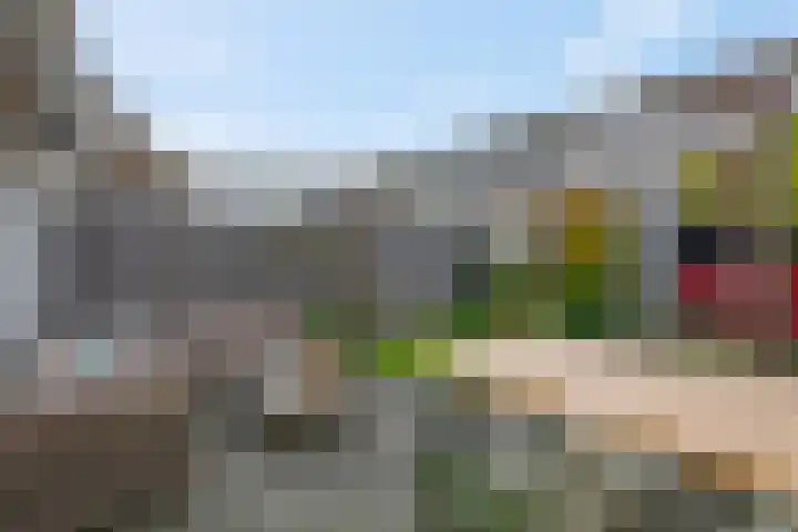 Markiezenhof 11 Veenendaal thumbnail 54