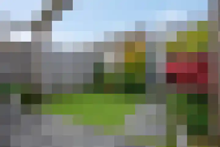 Markiezenhof 11 Veenendaal thumbnail 55