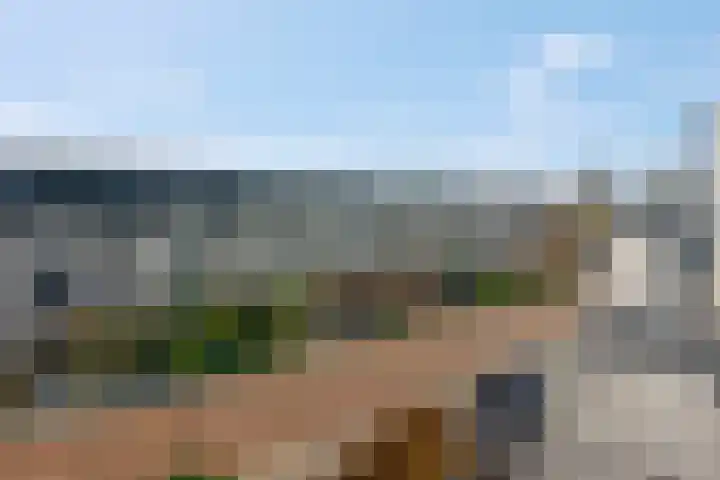 Markiezenhof 11 Veenendaal thumbnail 68