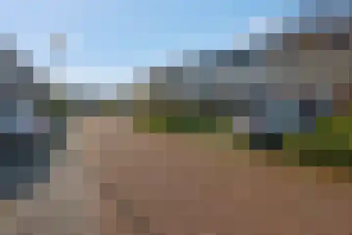 Markiezenhof 11 Veenendaal thumbnail 72