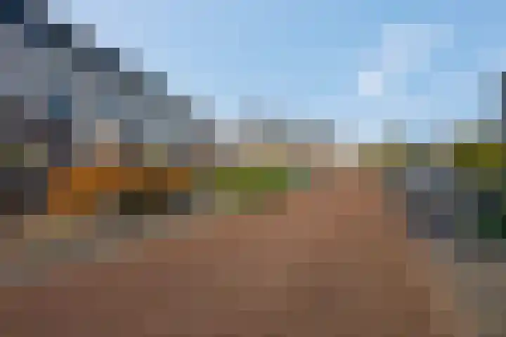 Markiezenhof 11 Veenendaal thumbnail 73