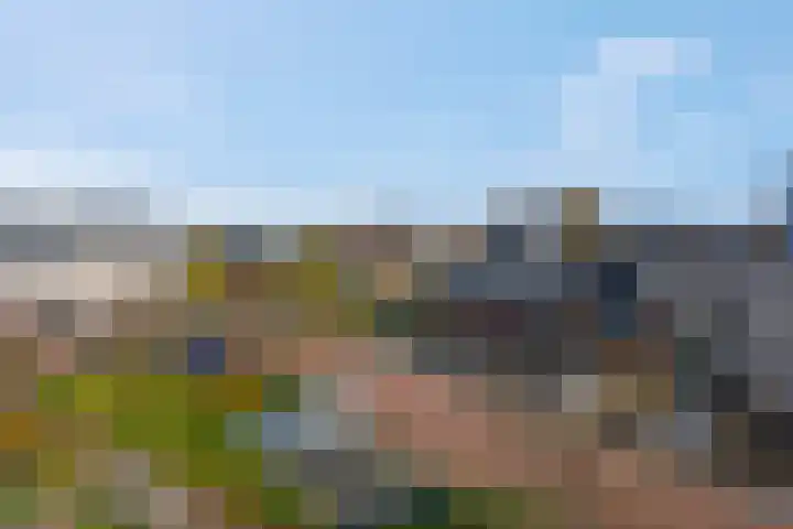 Markiezenhof 11 Veenendaal thumbnail 74