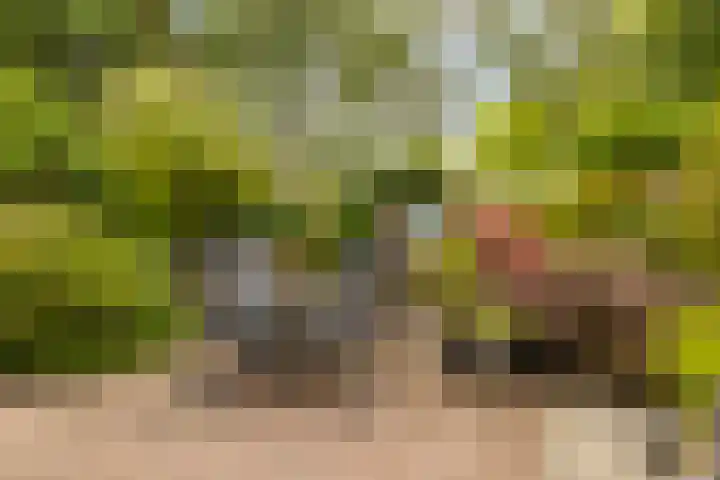 Markiezenhof 12 Ede thumbnail 107