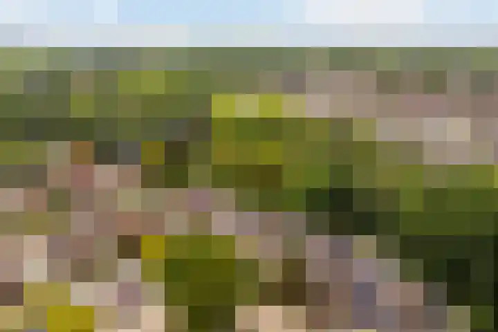 Markiezenhof 12 Ede thumbnail 117