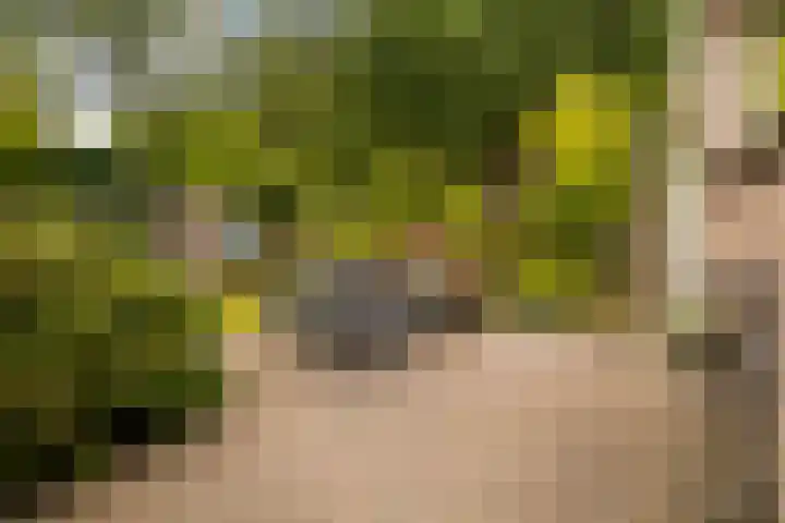 Markiezenhof 12 Ede thumbnail 26