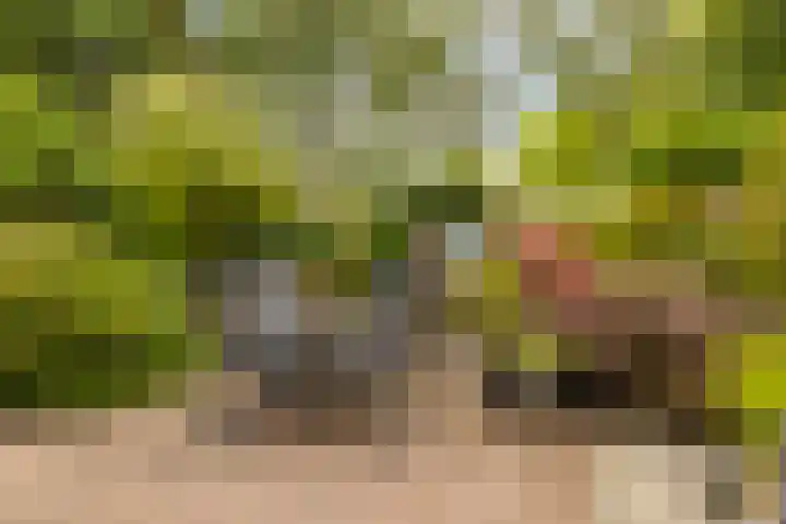 Markiezenhof 12 Ede thumbnail 27