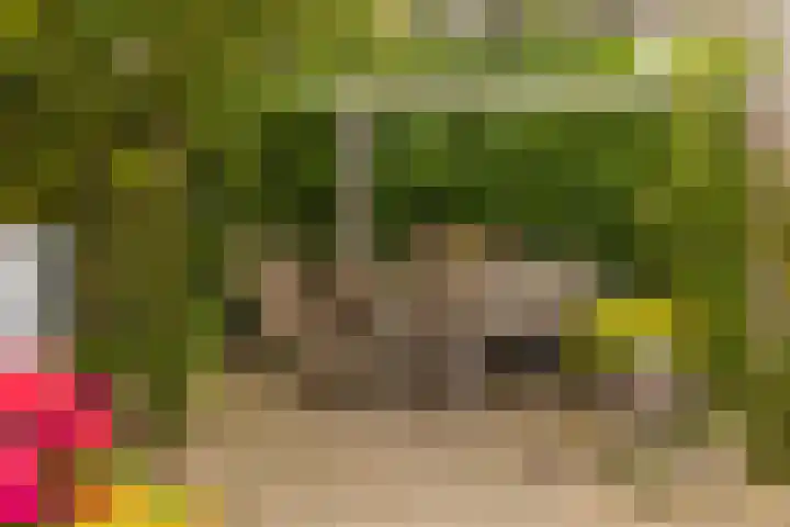 Markiezenhof 12 Ede thumbnail 28