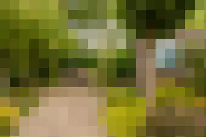 Markiezenhof 12 Ede thumbnail 29