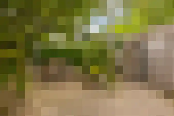Markiezenhof 12 Ede thumbnail 30