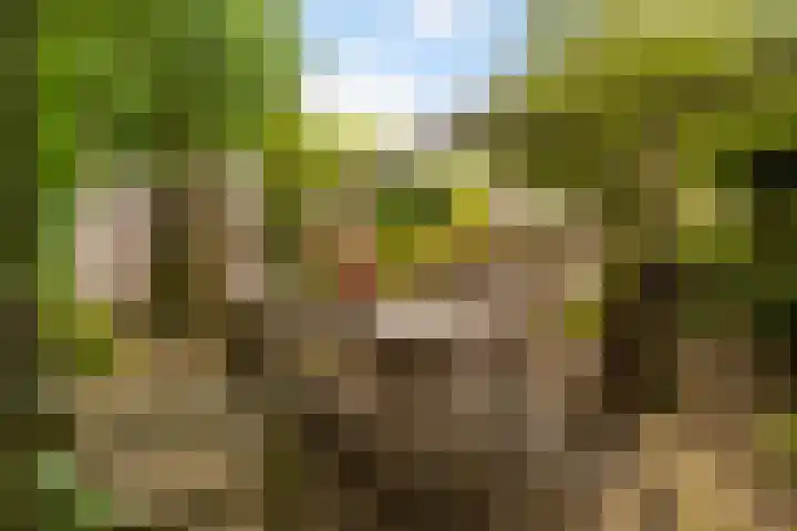 Markiezenhof 12 Ede thumbnail 31