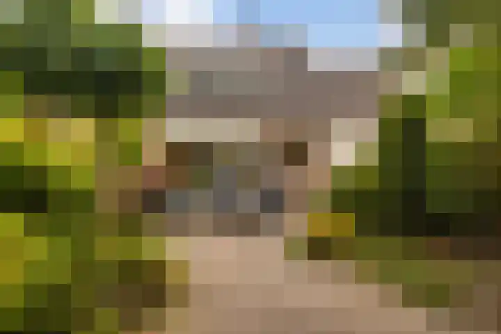 Markiezenhof 12 Ede thumbnail 32