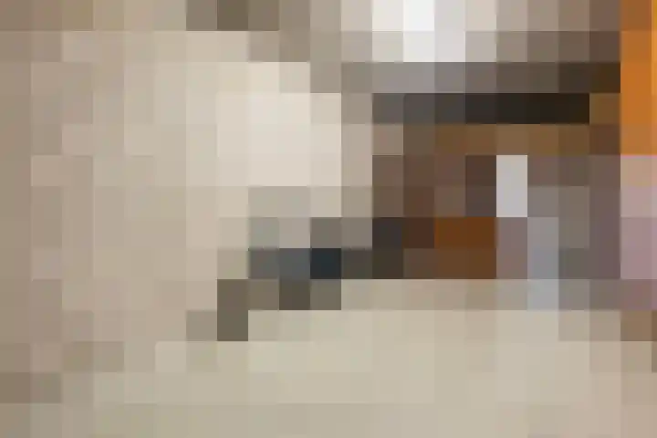 Markiezenhof 12 Ede thumbnail 33