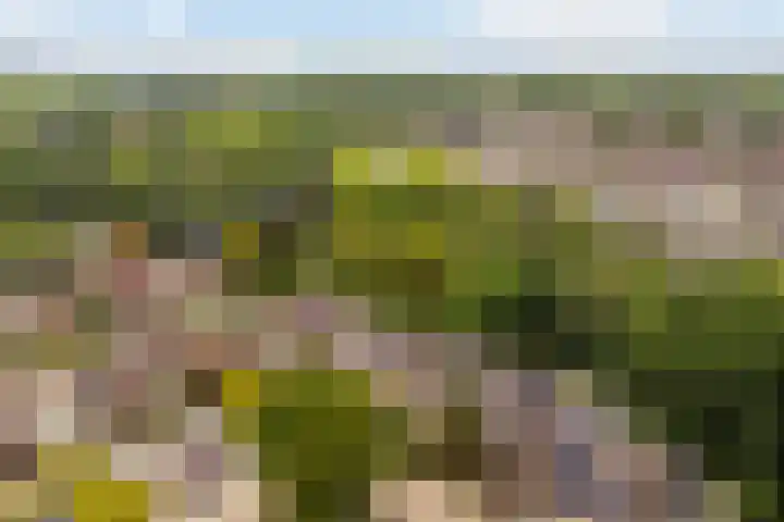 Markiezenhof 12 Ede thumbnail 37