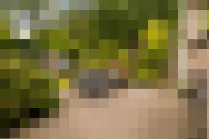 Markiezenhof 12 Ede thumbnail 66