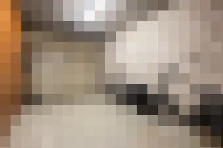 Markiezenhof 12 Ede thumbnail 74