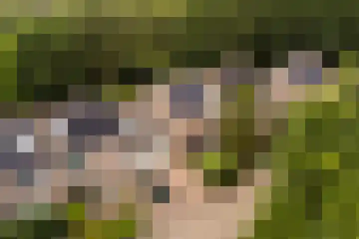 Markiezenhof 12 Ede thumbnail 75