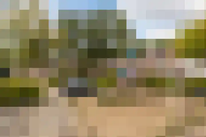 Markiezenhof 12 Ede thumbnail 79