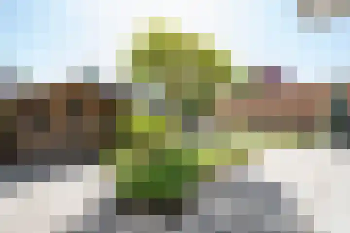 Markiezenhof 14 Leerdam thumbnail 32