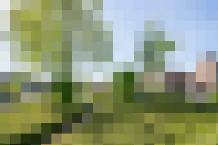 Markiezenhof 14 Leerdam thumbnail 35