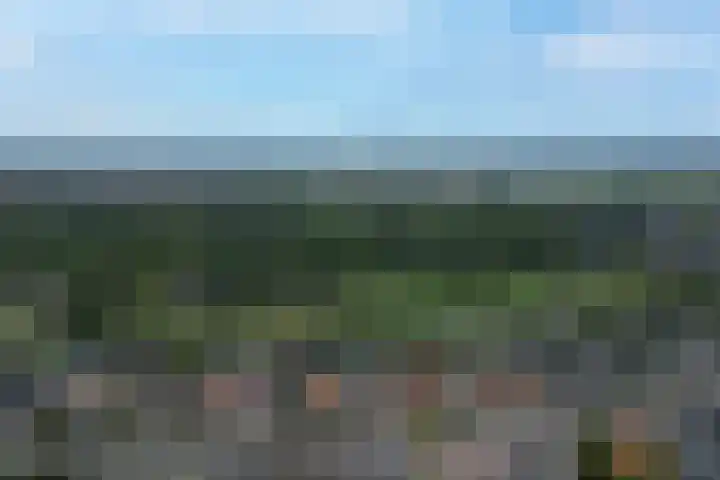 Markiezenhof 16 Veenendaal thumbnail 35