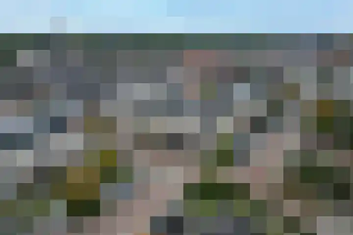 Markiezenhof 16 Veenendaal thumbnail 37